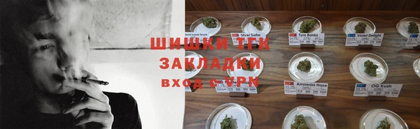 spice Аркадак