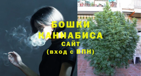 spice Аркадак