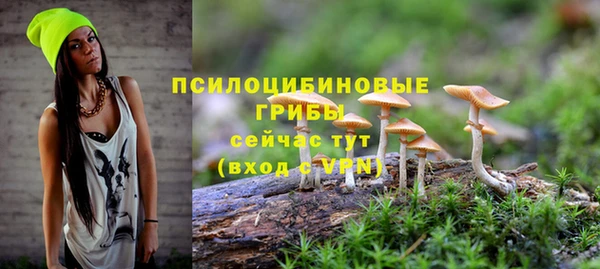 spice Аркадак