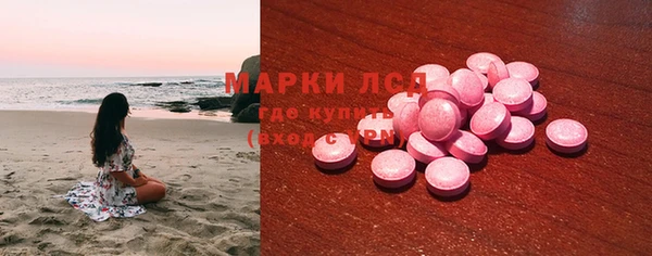 spice Аркадак
